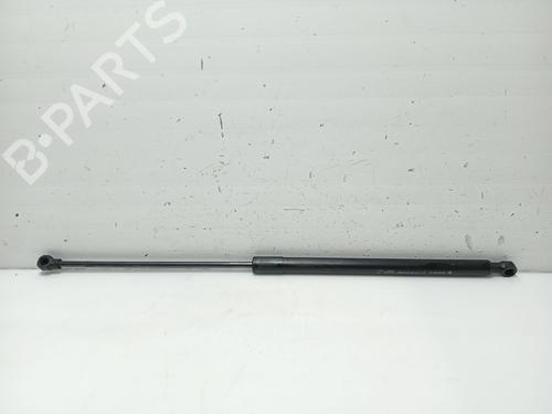 BP31108717C139 main image