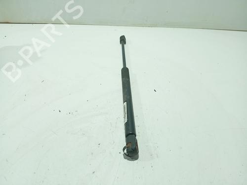 tailgate-lift-support-renault-megane-ii-bm01_-cm01_-2001-2002-2003-2004-2005-2006-2007-2008-2009-2010-2011-2012-31103415 main image