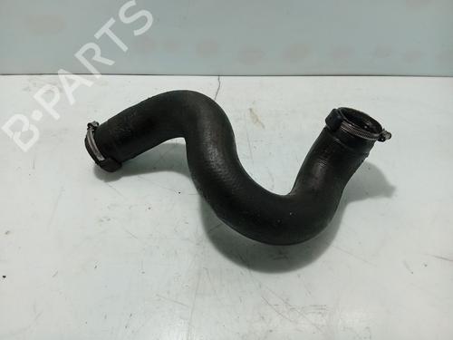 Pipe CITROËN C5 III Break (RW_) 2.0 HDi 140 | BP33048448M125 - Image 3