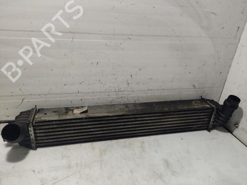 Ladeluftkühler für RENAULT LAGUNA III (BT0/1) 2.0 dCi (BT01, BT08, BT09, BT0E, BT0K, BT12, BT1C, BT1D,... (150 hp) 31106495