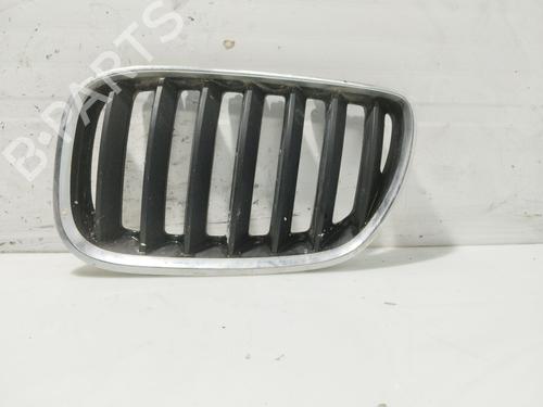 Grill BMW X5 (E53) 3.0 d (218 hp) 31100496