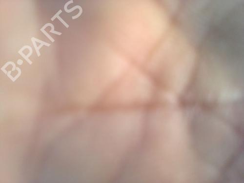 Hub cap VW GOLF III (1H1) | BP31102038C160