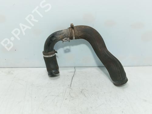 Rohr für Rohr FIAT BRAVO II (198_) 1.6 D Multijet (198AXH1B) (105 hp) 36352742 36352742