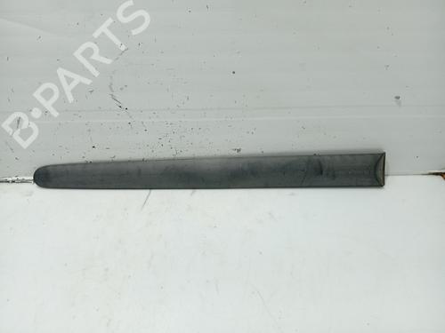 Used Door moulding trim RENAULT MEGANE III Hatchback (BZ0/1_, B3_) 1.6 16V (111 hp) 31108753