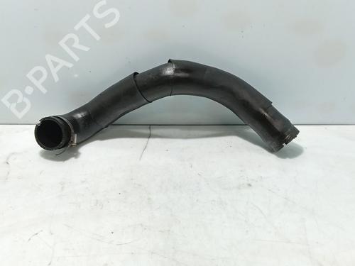Pipe FIAT BRAVO I (182_) 1.9 JTD 105 | BP31176565M125