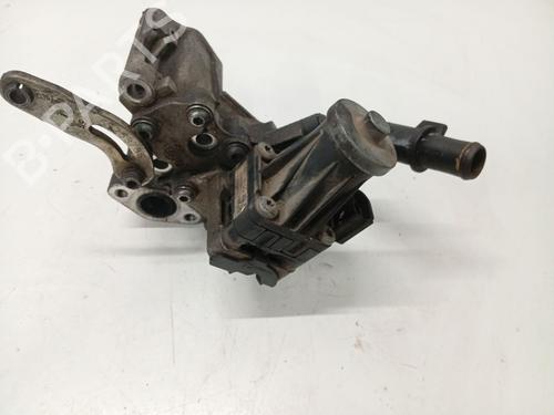 Egr FIAT FIORINO Box Body/MPV (265_) [2013-2025]  31105649