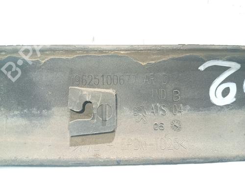 Dørlist PEUGEOT 206 Hatchback (2A/C) 1.4 HDi eco 70 | BP31104110C150 