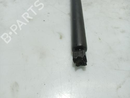 Tailgate lift support VW GOLF V (1K1) 1.9 TDI | BP31107000C138 