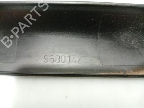 Door moulding trim PEUGEOT 207 (WA_, WC_) 1.4 HDi | BP31102319C150