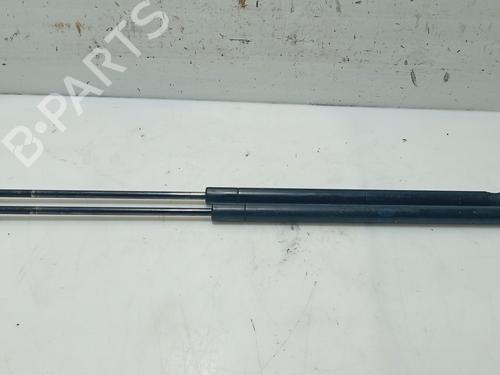 Used Tailgate lift support LAND ROVER RANGE ROVER SPORT I (L320) 2.7 D 4x4 (190 hp) 31132162
