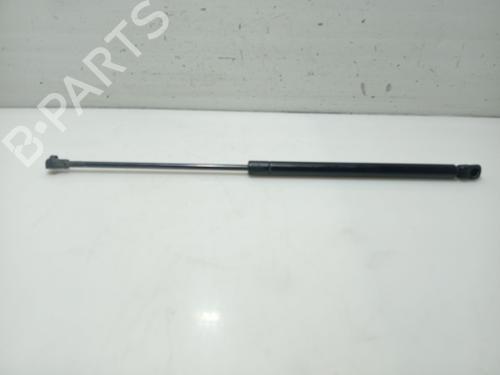 hood-lift-support-audi-a3-8l1-1996-1997-1998-1999-2000-2001-2002-2003-2004-2005-2006-31098216 main image