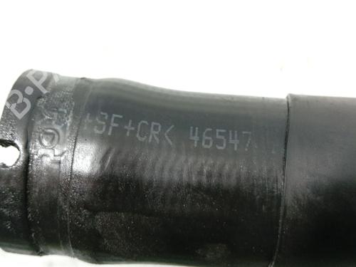 Pipe FIAT BRAVO I (182_) 1.9 JTD 105 | BP31176565M125