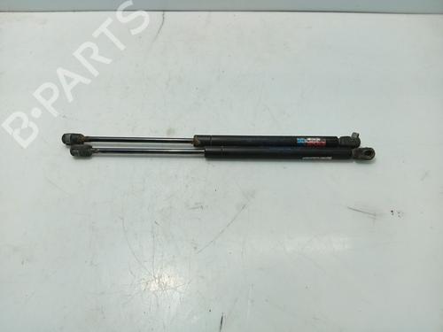 Used Tailgate lift support RENAULT CLIO II (BB_, CB_) 1.2 (BB0A, BB0F, BB10, BB1K, BB28, BB2D, BB2H, CB0A,... (58 hp) 31110447