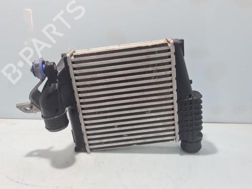 Intercooler FIAT DOBLO Box Body/MPV (510_, 511_) BlueHDi 100 (102 hp) 31107558