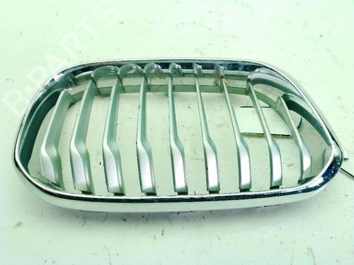 Used Grille BMW 1 (F20) 116 d (116 hp) 29498117