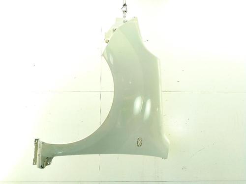 Used Left front fenders RENAULT KANGOO / GRAND KANGOO II (KW0/1_) 1.5 dCi 90 (KW05, KW08, KW0G, KW11) (90 hp) 28508895