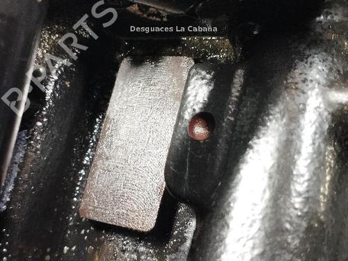 Engine RENAULT SCÉNIC III (JZ0/1_) 1.5 dCi | BP24003427M1 