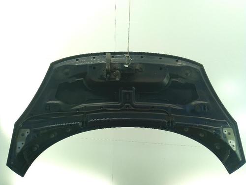 Hood RENAULT SCÉNIC III (JZ0/1_) 1.6 16V (JZ0U, JZ1B) | BP23998816C1