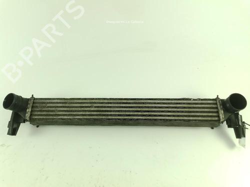 Used Intercooler VW POLO V (6R1, 6C1) 1.2 TDI (75 hp) 18368233