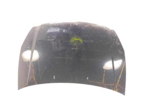 Used Hood Hood KIA CARNIVAL / GRAND CARNIVAL III (VQ) 2.9 CRDi (185 hp) 40523735 40523735