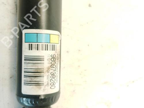Left rear shock absorber CITROËN C4 CACTUS 1.2 THP 110 | BP26652354M18 