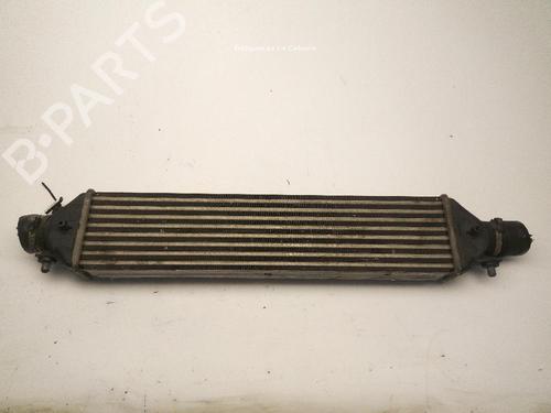 Used Intercooler Intercooler FIAT DOBLO Bus (263_) 1.4 (263AXG1B, 263AXG1A) (120 hp) 24043931 24043931