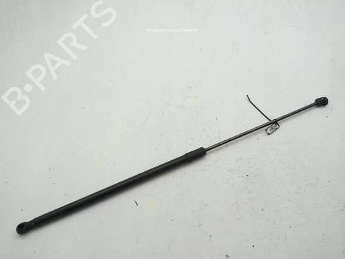 Used Hood lift support VW PASSAT B8 (3G2, CB2) 2.0 TDI 4motion (190 hp) 19776963