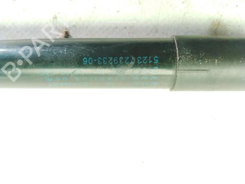 Hood lift support BMW 1 (F20) 116 d | BP29554988C139 