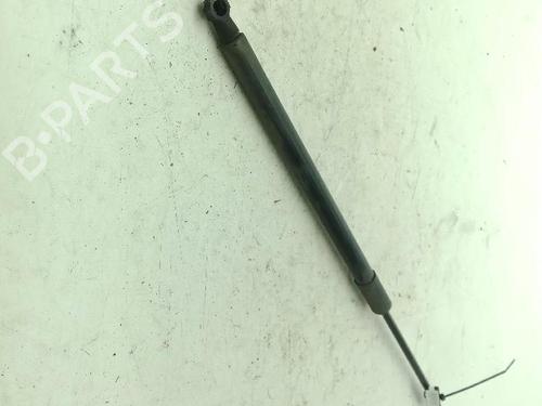 hood-lift-support-dacia-duster-hs_-2010-2011-2012-2013-2014-2015-2016-2017-2018-39581398 main image