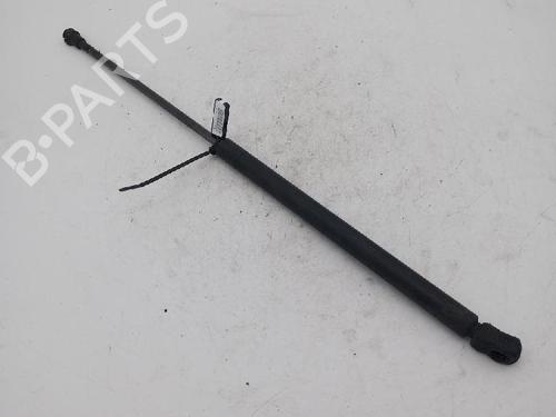 Hood lift support AUDI A3 (8L1) 1.8 | BP18368762C139 