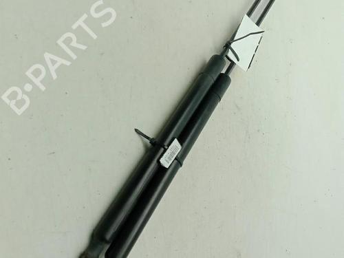 tailgate-lift-support-dacia-lodgy-js_-2012-33570959 main image