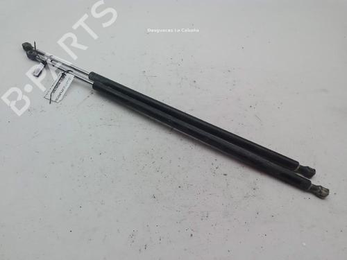 Gassdemper Bakluke FIAT SCUDO Van (270_, 272_) 2.0 D Multijet (128 hp) 29518457
