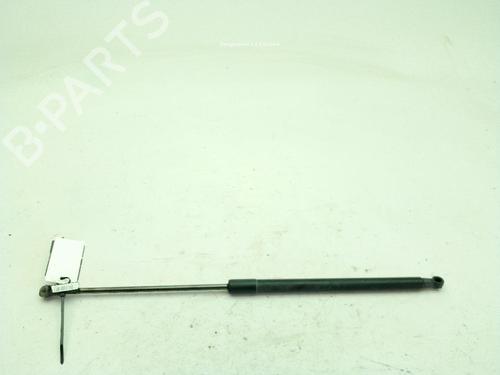 Tailgate lift support NISSAN QASHQAI I (J10, NJ10) 1.6 dCi 4364250355N