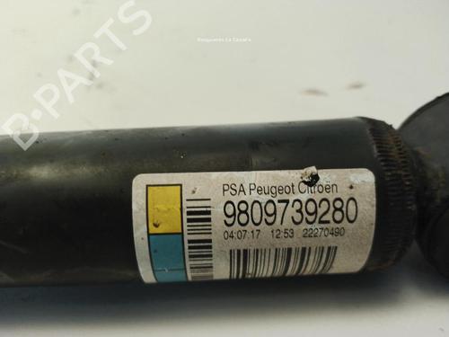 Left rear shock absorber CITROËN C4 CACTUS 1.6 BlueHDi 100 | BP37458981M18 - Image 3