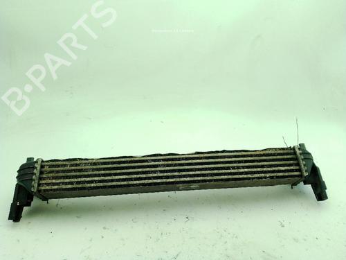 Intercooler SEAT IBIZA IV (6J5, 6P1) 1.4 TDI | BP30170812M30