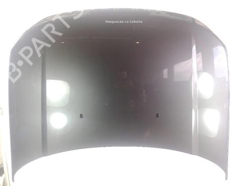 Hood LAND ROVER DISCOVERY III (L319) 2.7 TD 4x4 | BP18359053C1 