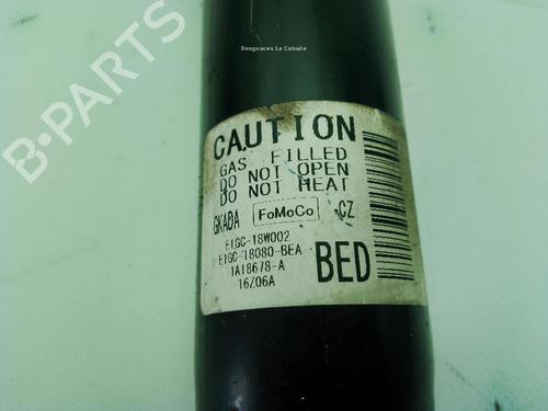 Left rear shock absorber FORD S-MAX (CJ, WA6) 2.0 TDCi | BP31064037M18