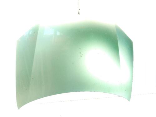 Capot VW GOLF V (1K1) 1.9 TDI (105 hp) 30477225