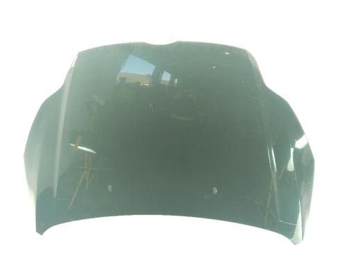 Panser FORD FOCUS III 1.0 EcoBoost (125 hp) 23999356