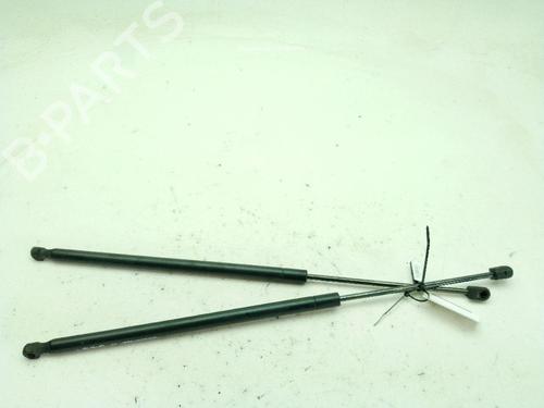 Tailgate lift support BMW 3 Compact (E46) 316 ti | BP29746785C138