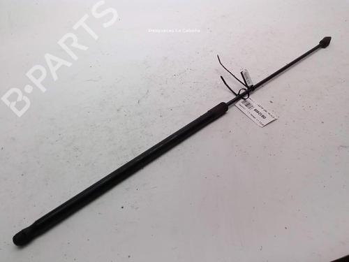 Used Hood lift support VW GOLF V Variant (1K5) 1.9 TDI (105 hp) 24048047