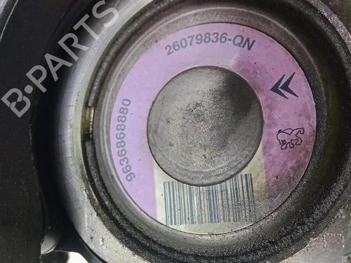 Steering pump PEUGEOT 206 Hatchback (2A/C) 1.4 i | BP24607272M99 