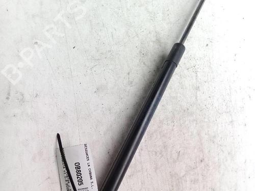 Tailgate lift support FORD FIESTA VI (CB1, CCN) 1.0 EcoBoost | BP30146165C138 