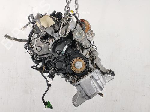 Motor FORD FOCUS IV (HN) 1.5 EcoBlue (120 hp) 28138822
