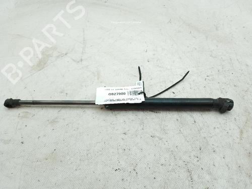 Used Hood lift support VW CADDY III Box Body/MPV (2KA, 2KH, 2CA, 2CH) 1.6 TDI (75 hp) 24545976