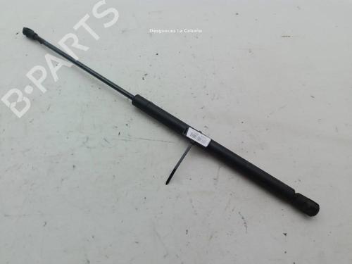 Used Hood lift support AUDI A3 (8L1) 1.9 TDI (130 hp) 29583369