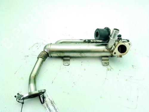 Egr SEAT LEON (1P1) 1.9 TDI (105 hp) 30803334