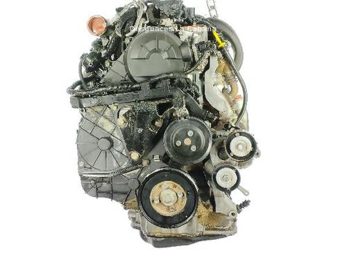 Engine OPEL MERIVA A MPV (X03) 1.7 CDTI (E75) | BP39899741M1  - Image 5