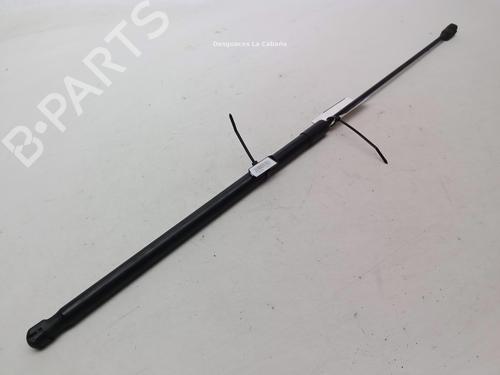 hood-lift-support-vw-golf-v-1k1-2003-2004-2005-2006-2007-2008-2009-2010-28596534 main image