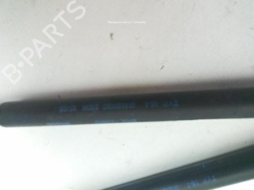 Hood lift support LAND ROVER RANGE ROVER SPORT I (L320) 4.2 4x4 | BP18358499C139 